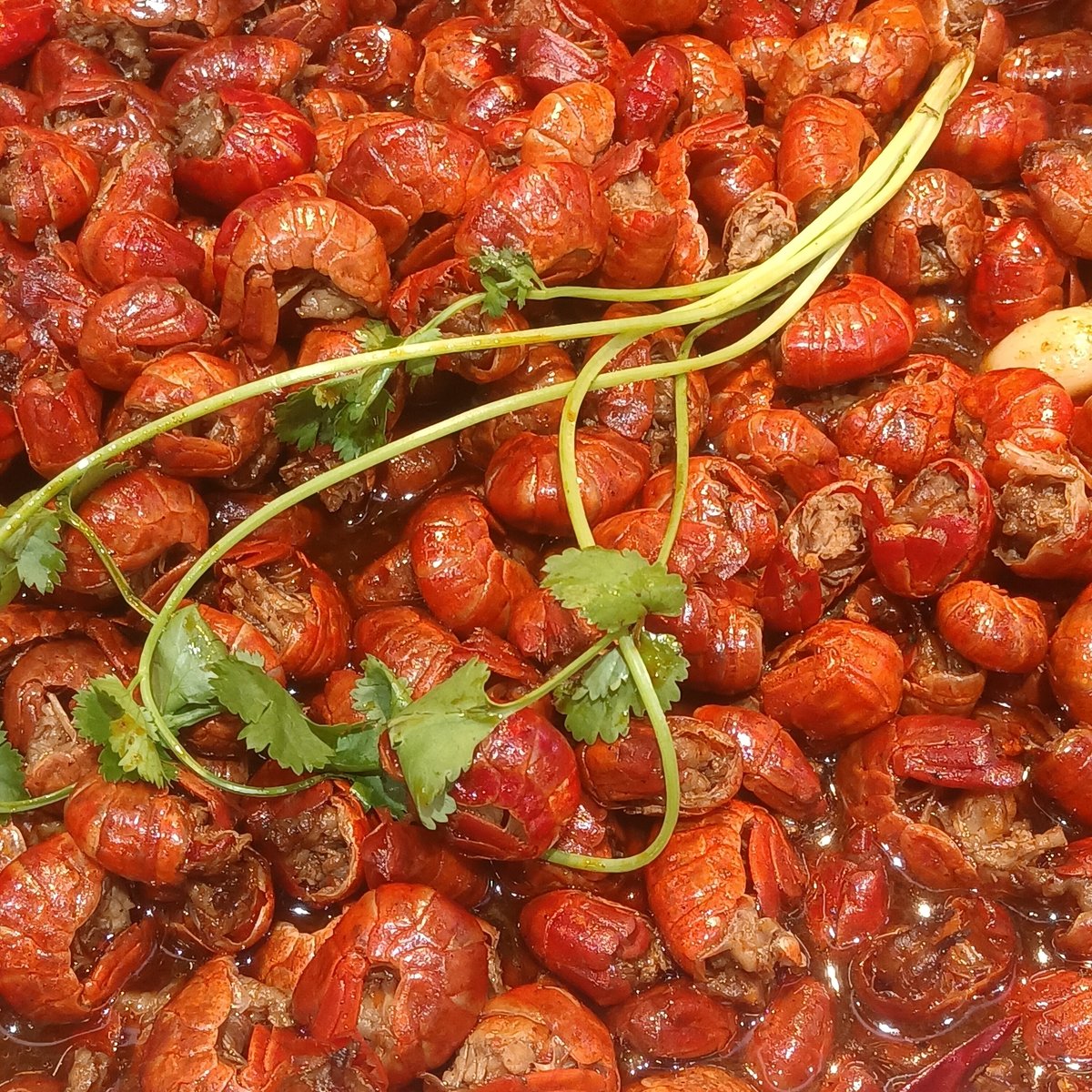 Hunan spicy crayfish with dried chilies and garlic